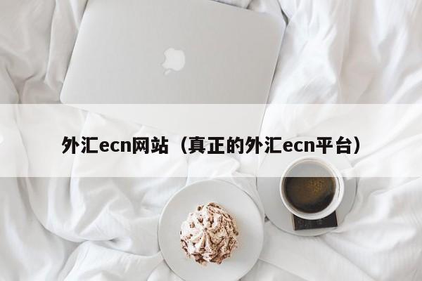 外汇ecn网站（真正的外汇ecn平台）