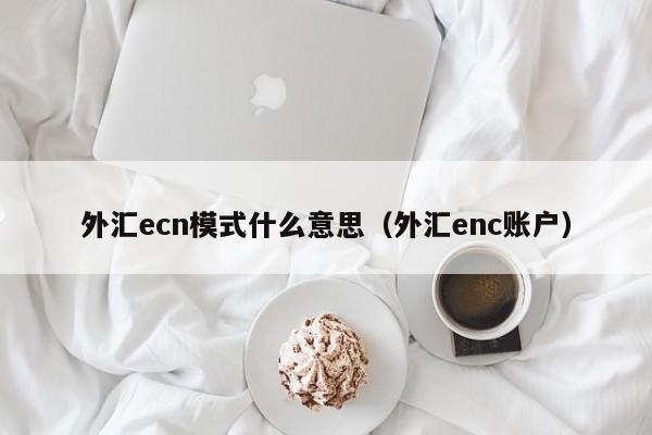 外汇ecn模式什么意思（外汇enc账户）