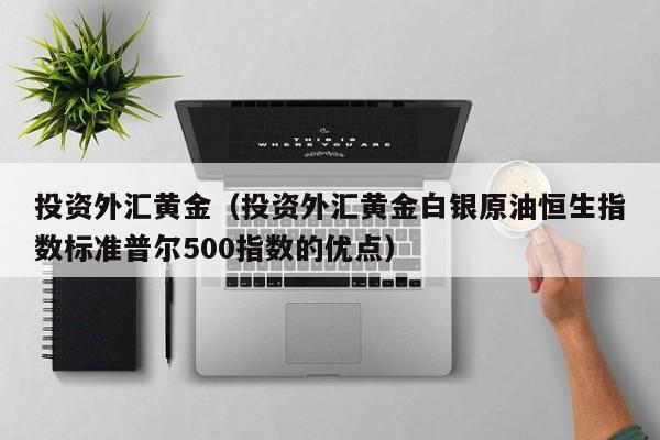 投资外汇黄金（投资外汇黄金白银原油恒生指数标准普尔500指数的优点）