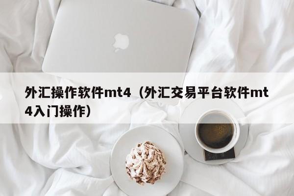 外汇操作软件mt4（外汇交易平台软件mt4入门操作）