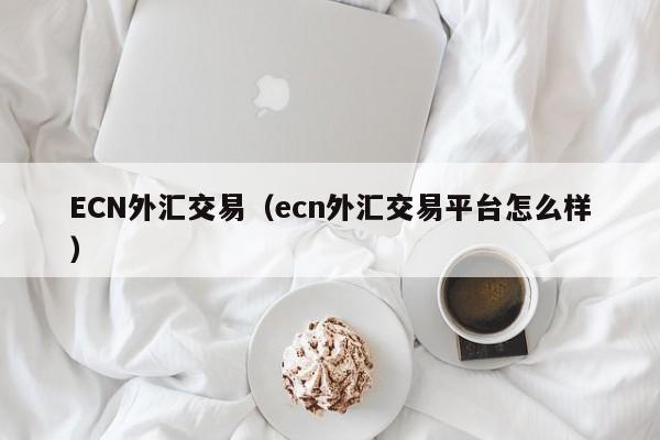 ECN外汇交易（ecn外汇交易平台怎么样）