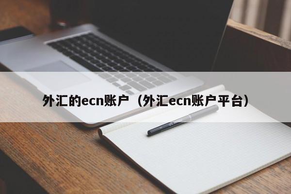 外汇的ecn账户（外汇ecn账户平台）