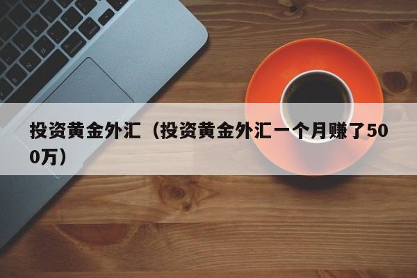 投资黄金外汇（投资黄金外汇一个月赚了500万）