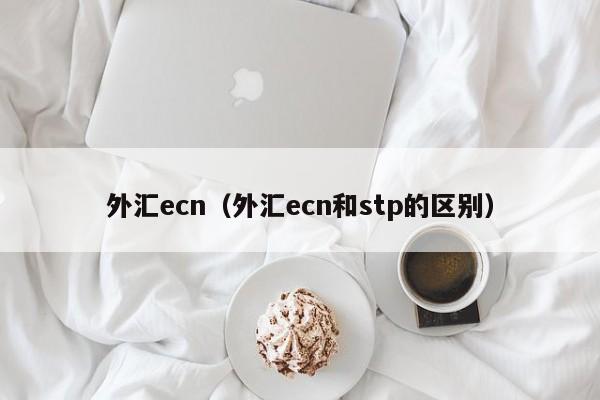 外汇ecn（外汇ecn和stp的区别）