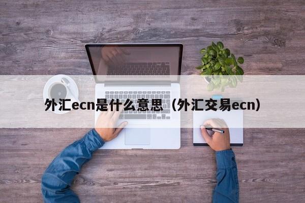 外汇ecn是什么意思（外汇交易ecn）