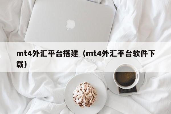 mt4外汇平台搭建（mt4外汇平台软件下载）