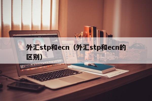 外汇stp和ecn（外汇stp和ecn的区别）