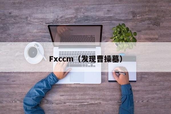 Fxccm（发现曹操墓）