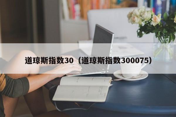 道琼斯指数30（道琼斯指数300075）