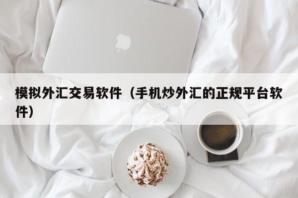 模拟外汇交易软件（手机炒外汇的正规平台软件）