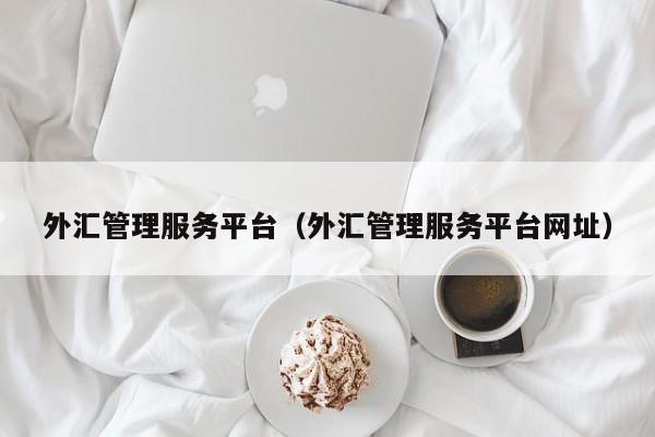 外汇管理服务平台（外汇管理服务平台网址）