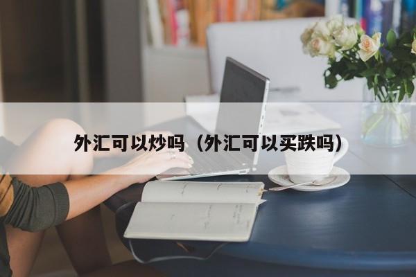 外汇可以炒吗（外汇可以买跌吗）