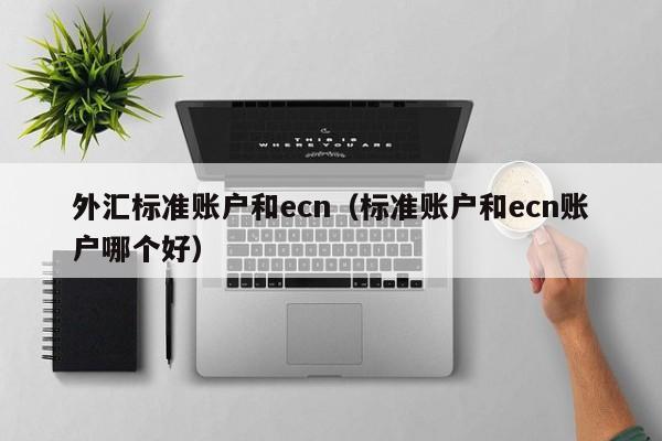 外汇标准账户和ecn（标准账户和ecn账户哪个好）