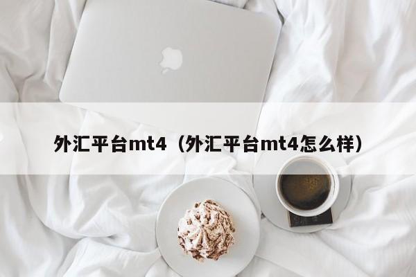 外汇平台mt4（外汇平台mt4怎么样）