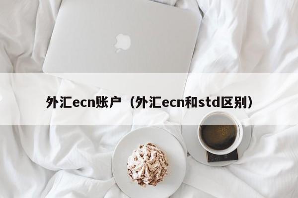 外汇ecn账户（外汇ecn和std区别）