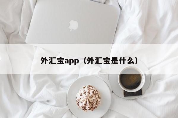 外汇宝app（外汇宝是什么）