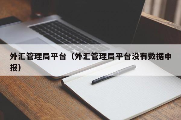 外汇管理局平台（外汇管理局平台没有数据申报）