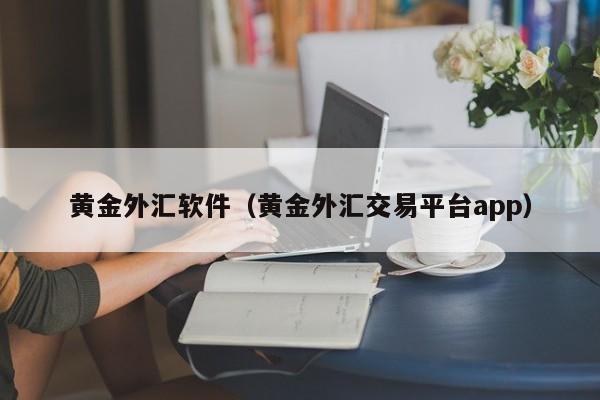 黄金外汇软件（黄金外汇交易平台app）