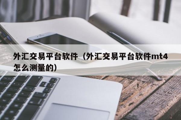 外汇交易平台软件（外汇交易平台软件mt4怎么测量的）