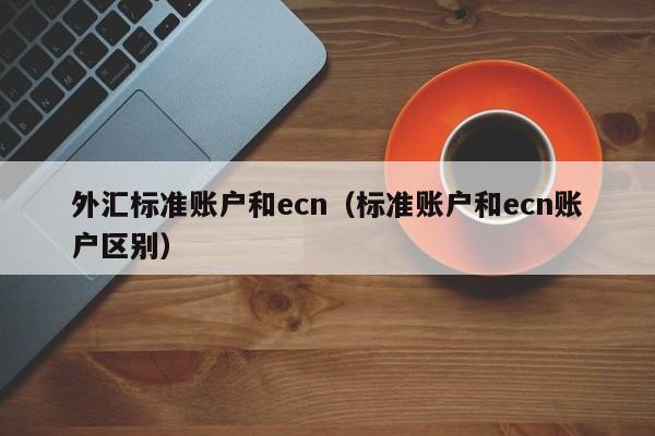 外汇标准账户和ecn（标准账户和ecn账户区别）