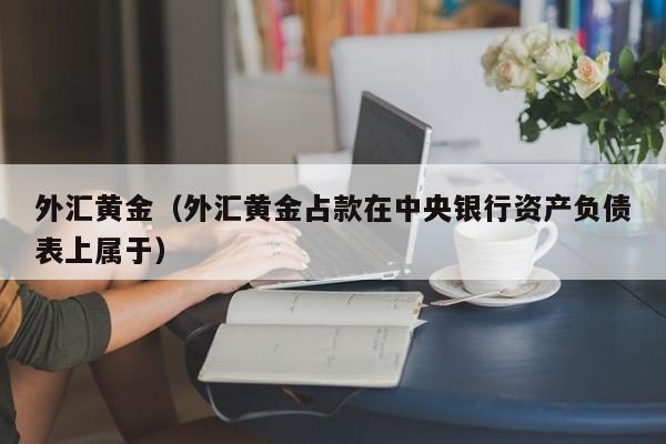 外汇黄金（外汇黄金占款在中央银行资产负债表上属于）