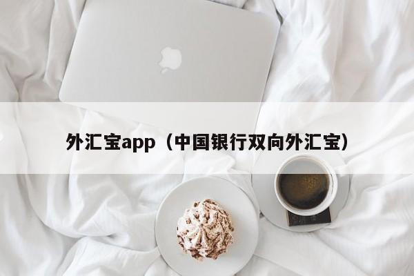 外汇宝app（中国银行双向外汇宝）