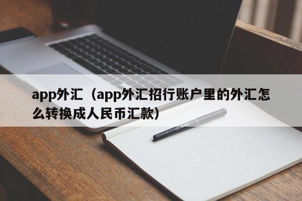 app外汇（app外汇招行账户里的外汇怎么转换成人民币汇款）