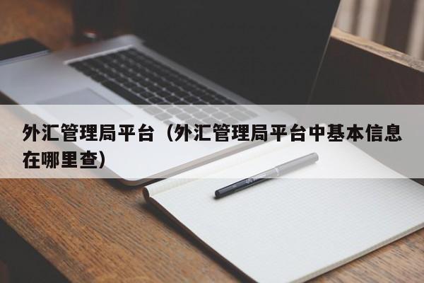 外汇管理局平台（外汇管理局平台中基本信息在哪里查）